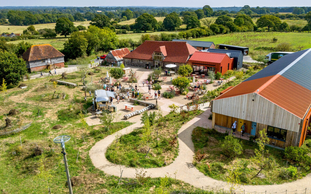 Graduate Landscapes’ Success at the 2024 Pro Landscaper Sustainability & Biodiversity Awards